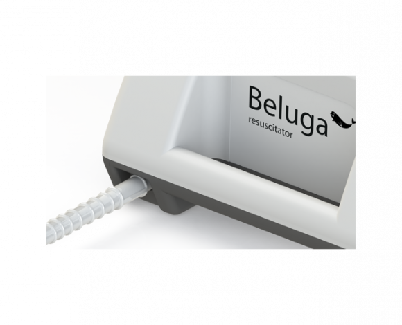 Beluga-05