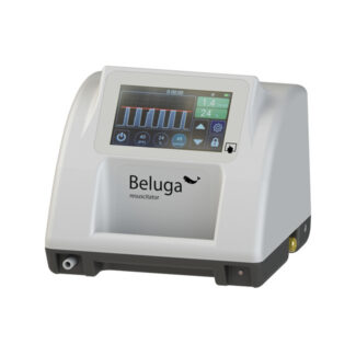beluga-01