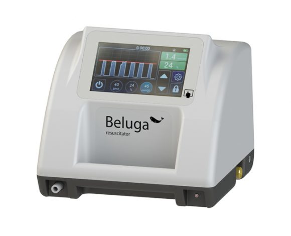 beluga-01